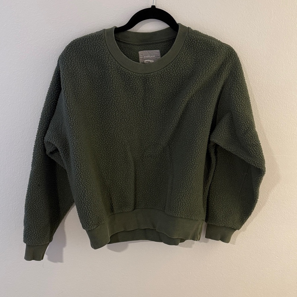 Everlane Forest Green Crew Neck Sweater